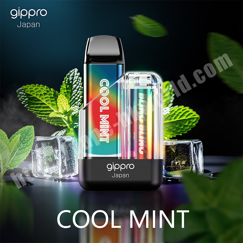 gippro bbx cool mint