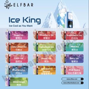 Elfbar-Iceking Vape 電子煙
