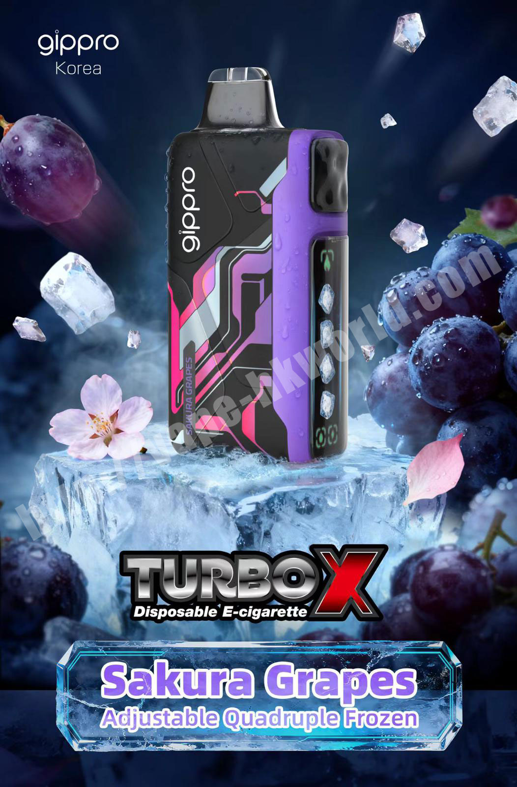 gippro turbox c2